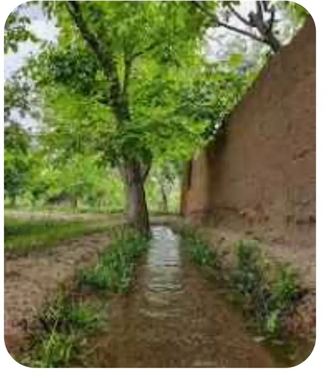 خانه باغ منشاد