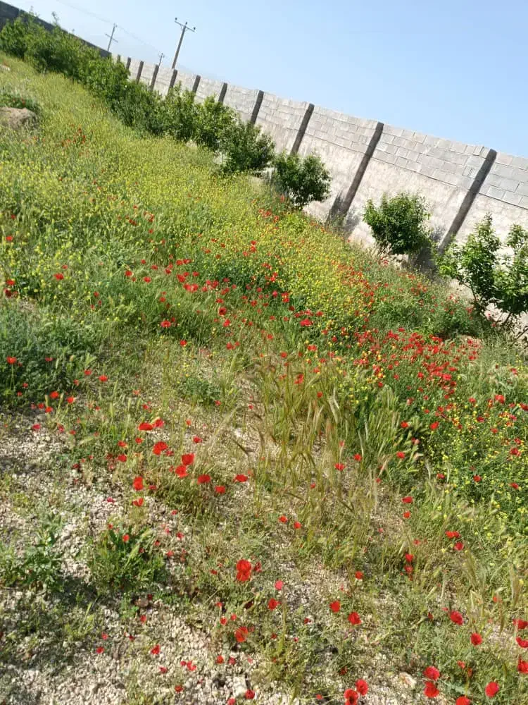 زمین محصور سرقنات ۳۵۰ متری مدارک کامل