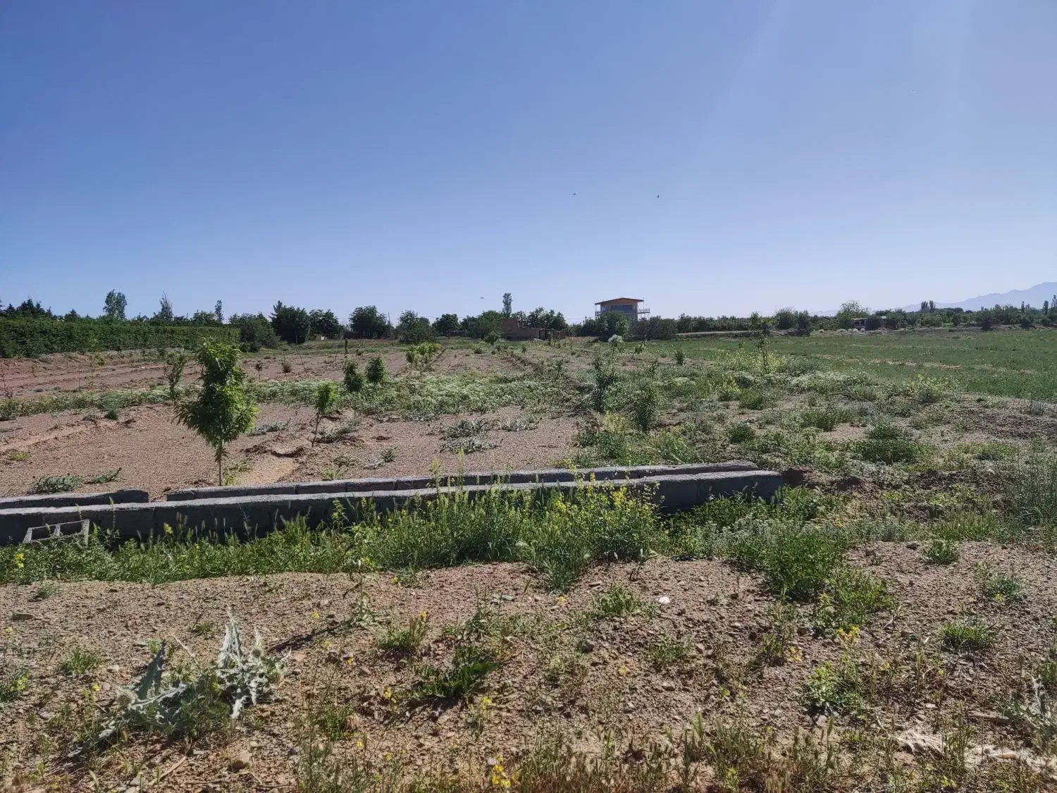زمین کشاورزی جاده کوچری