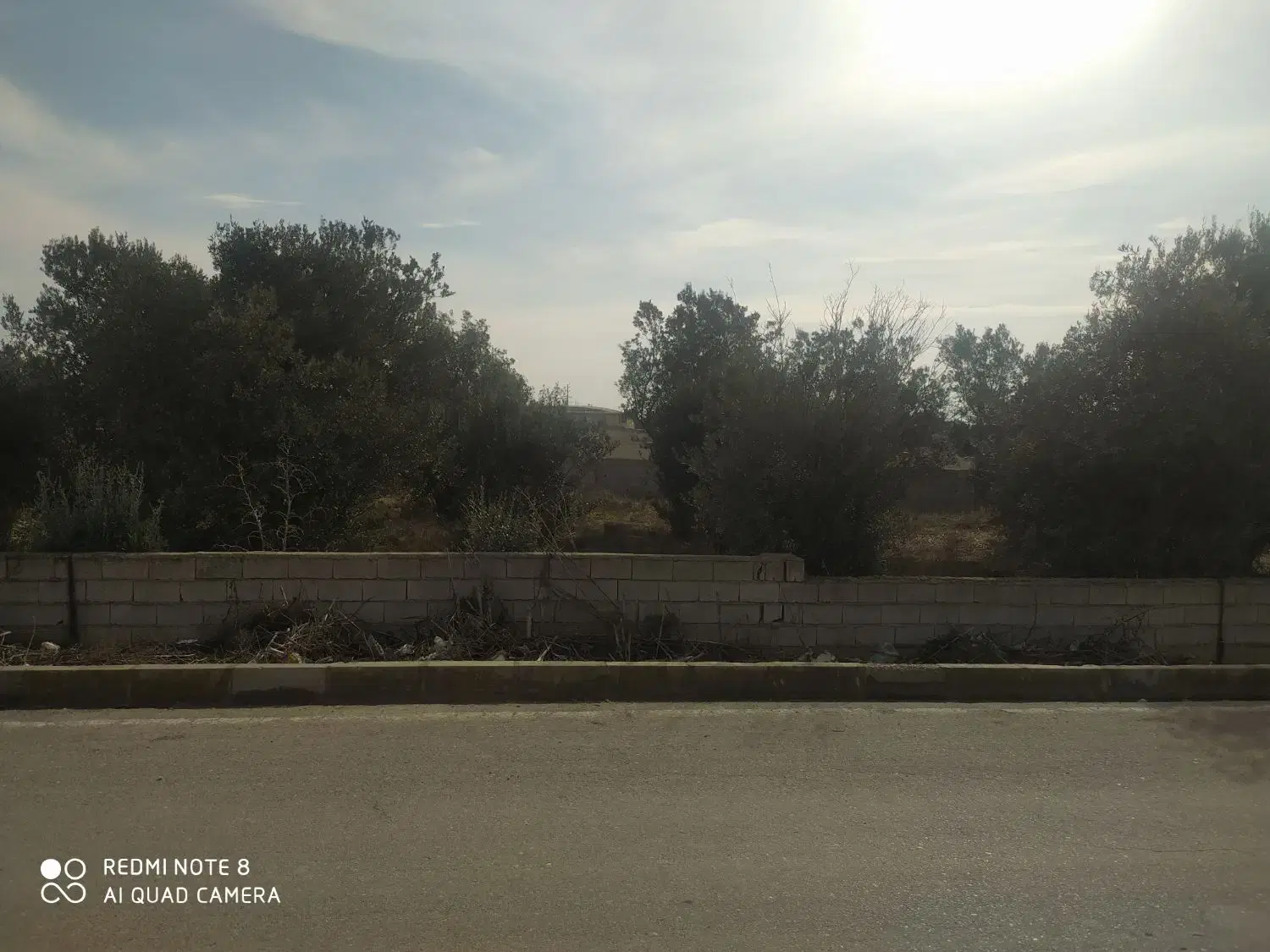 فروش زمین مسکونی تجاری سلطانعلی