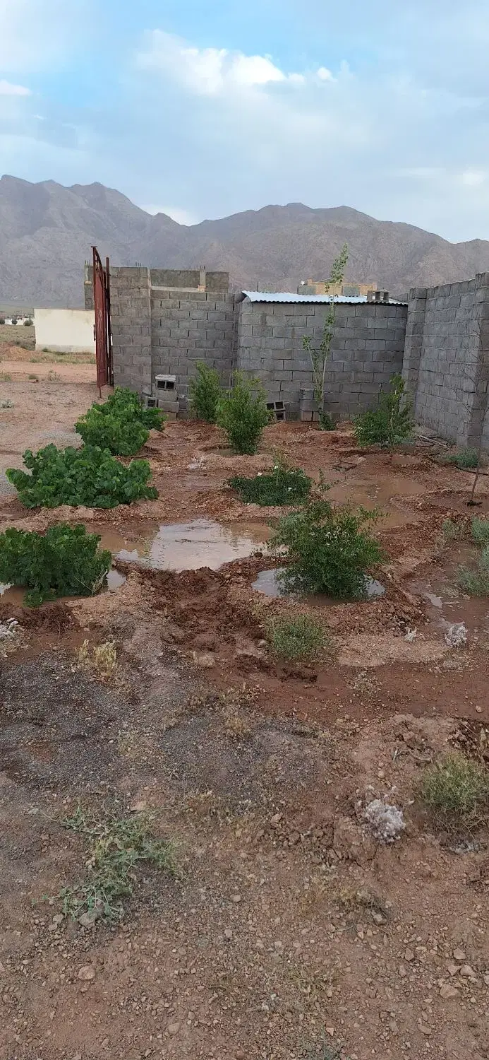 جوپارستان