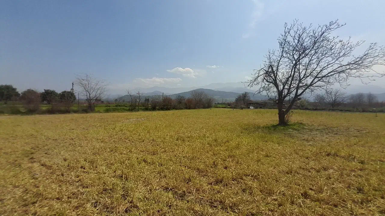 زمین کشاورزی