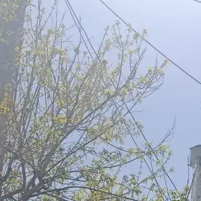 فروشی زمین باغچه و زراعی،10هزار متر مربع.