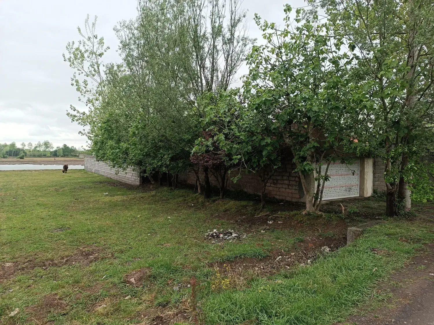 ۸۵۰ متر زمین رشت پروانه ساخت