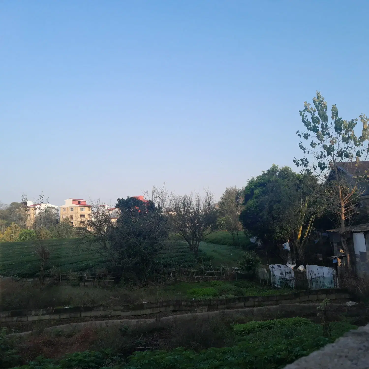 ۱۲۶_۵متری سنددارسوستان