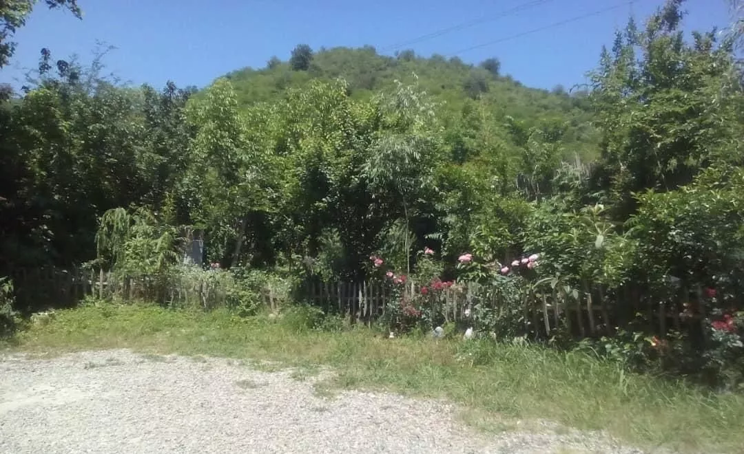 ویلاجنگلی متراژ۱۸۰ متر ۵۰۰ مترمربع حیاط
