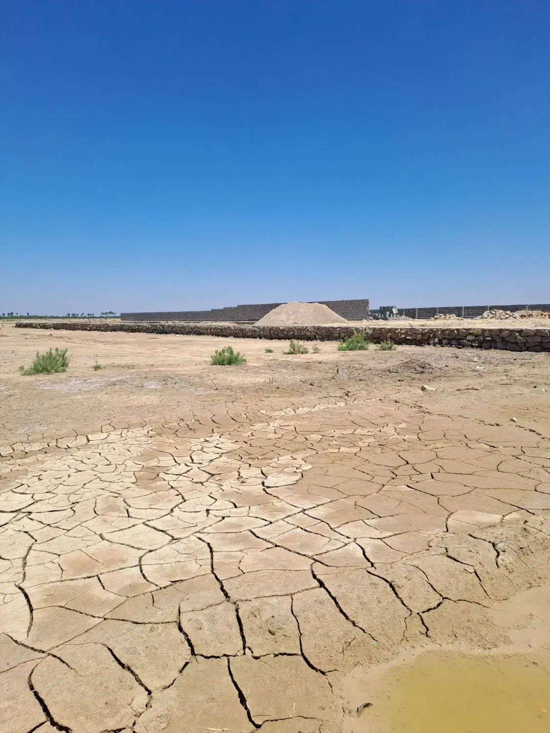 زمین بعد ازبیمارستان