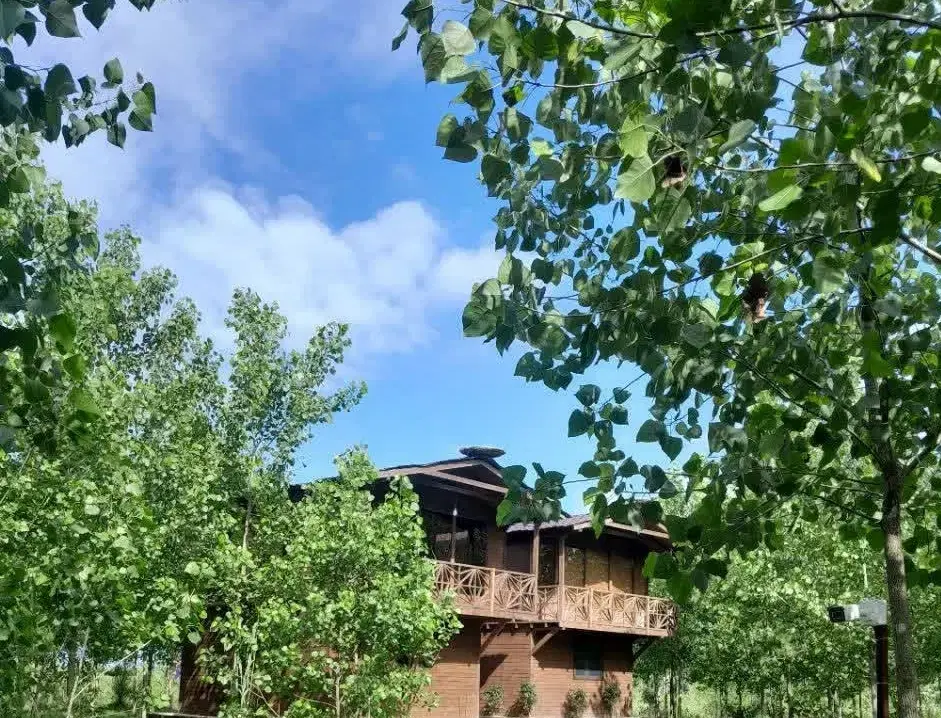 خریدی هوشمندانه برای ساخته آینده ای روشن