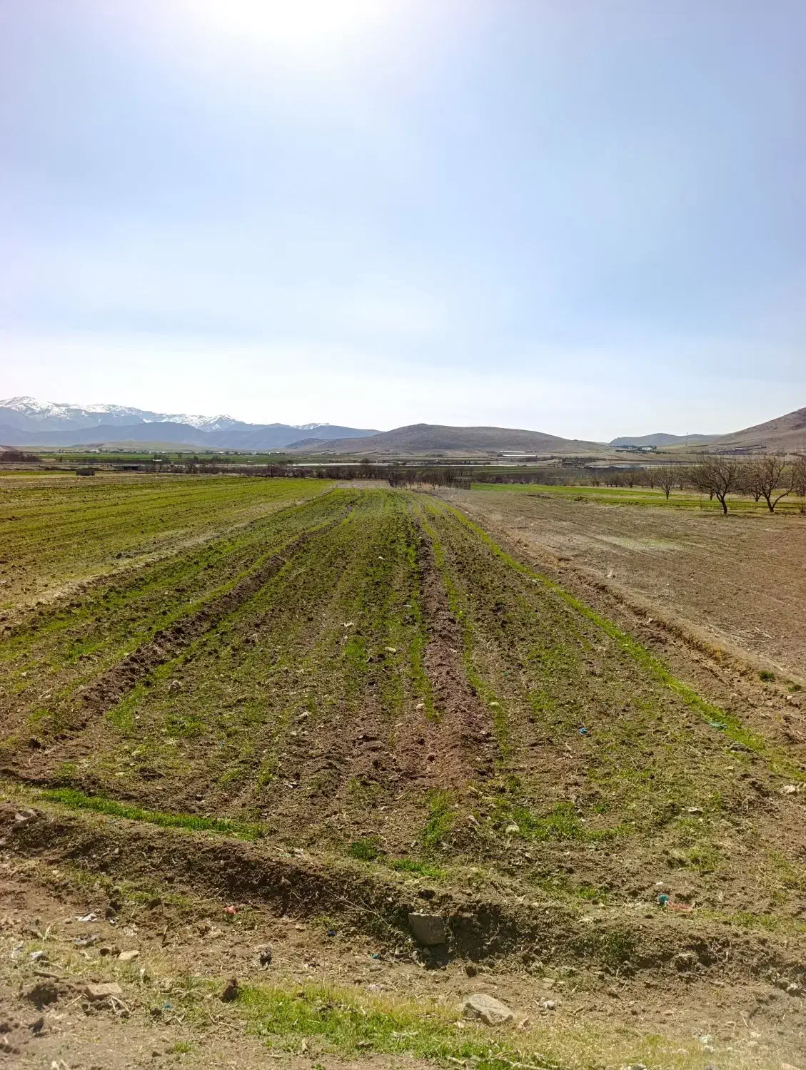 زمین روستای قورجیل