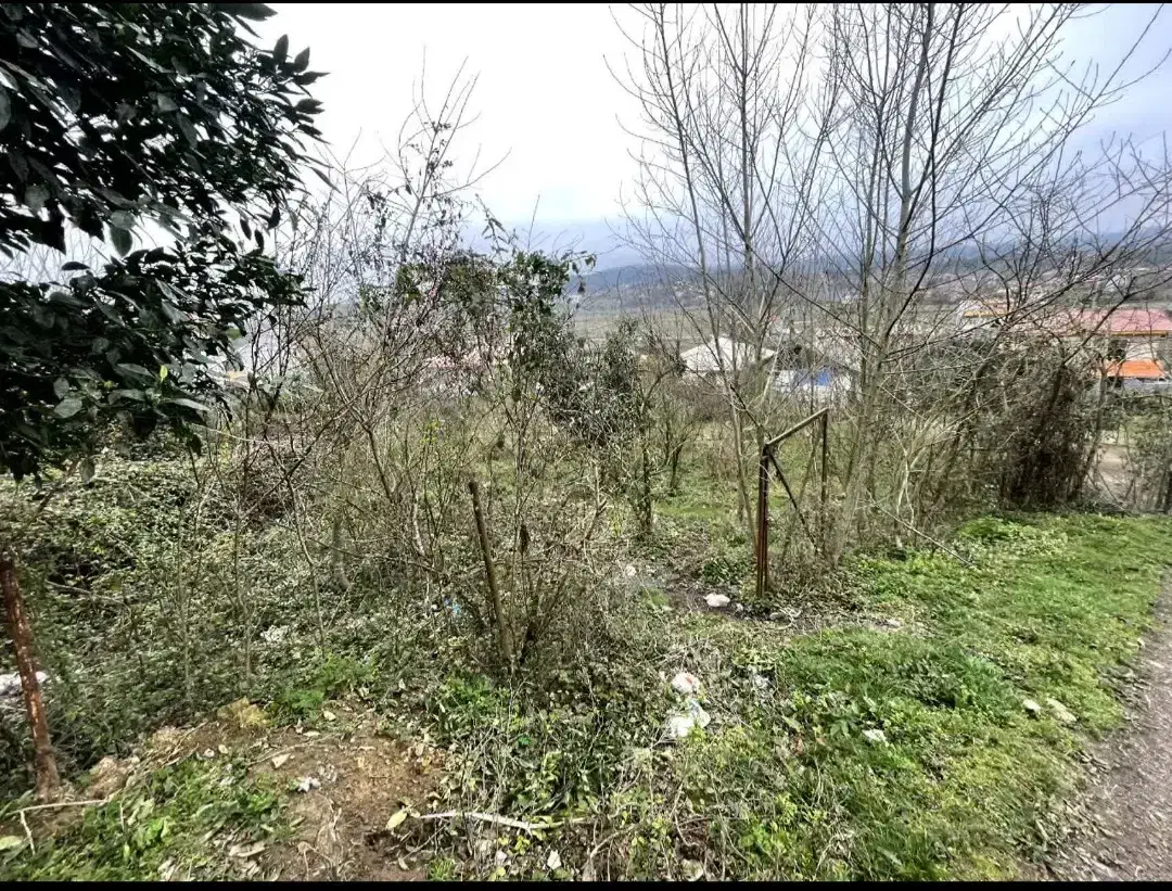 ۱۱۳۰ متر زمین مسکونی ویودار  اطاقور