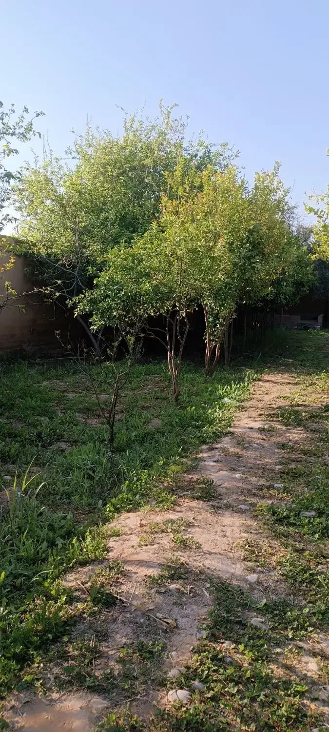 فروش باغ ویلا