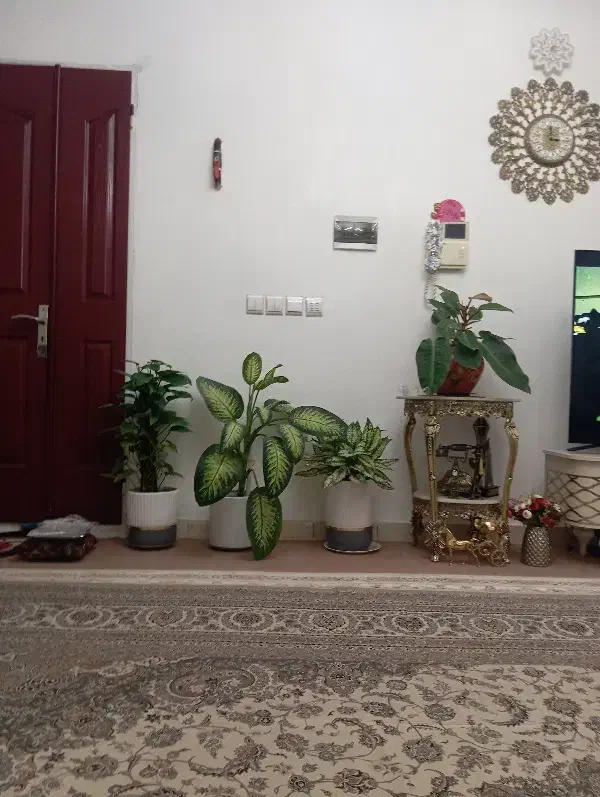 اجاره آپارتمان به مساحت 120 متر