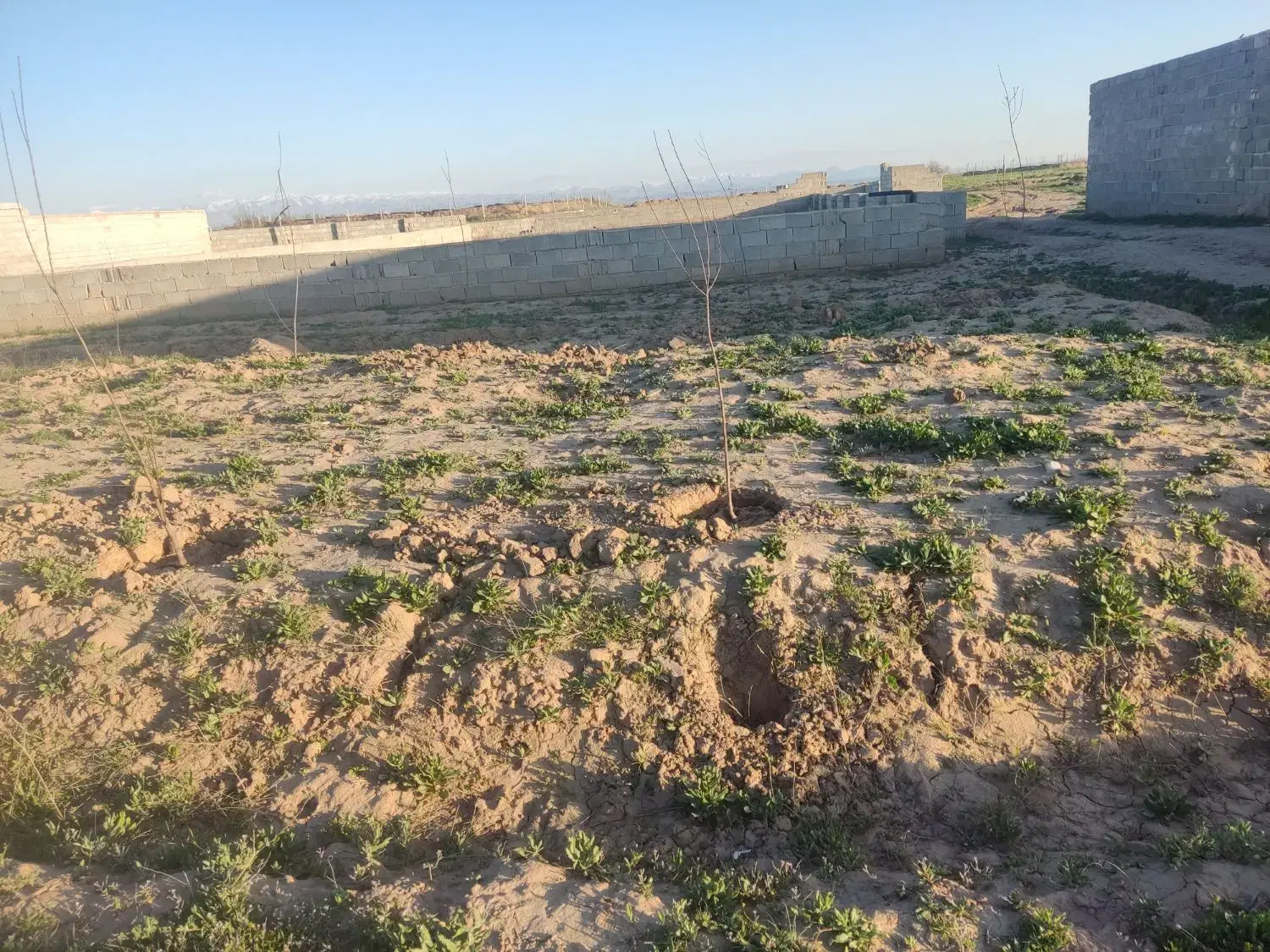 باغ 600 متر در نزدیکی جاده اتوبان