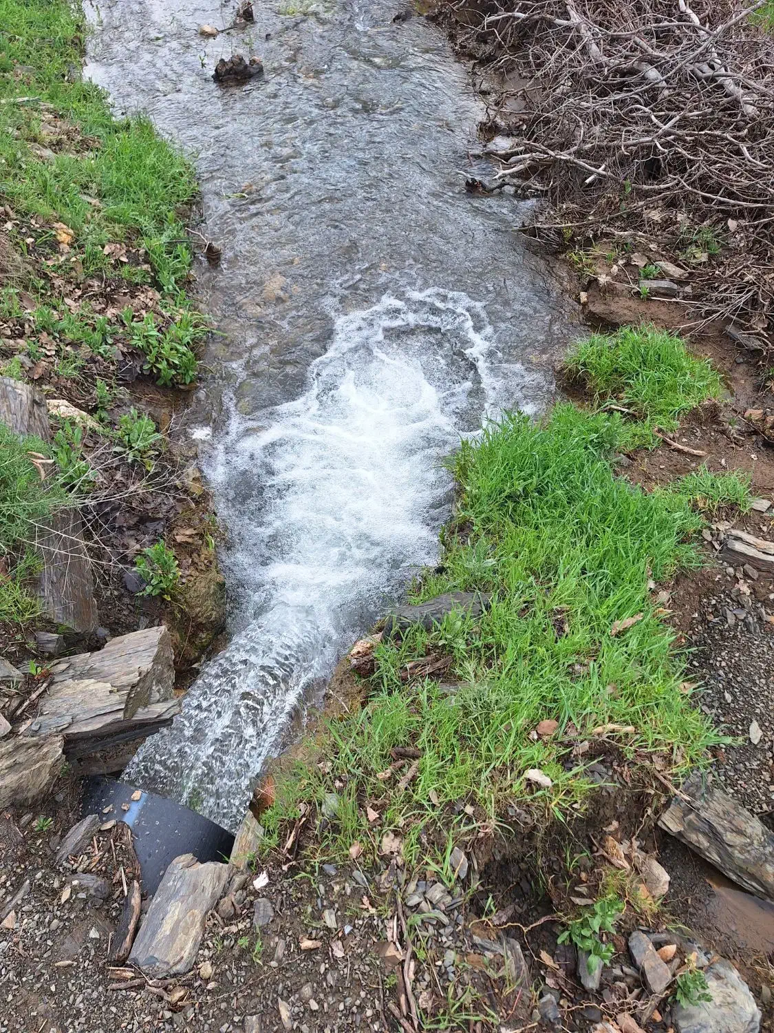 فروش باغ انگور