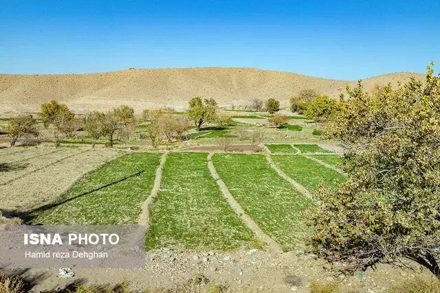 فروش زمین کشاورزی دیم در ایوان غرب