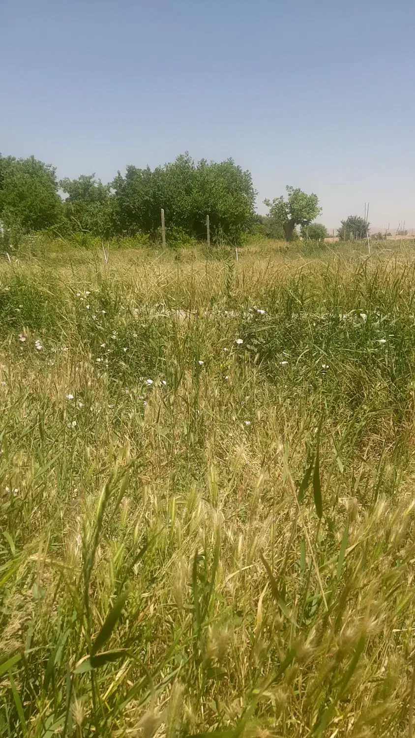 زمین ۳۶۰۰ متری اقساطی