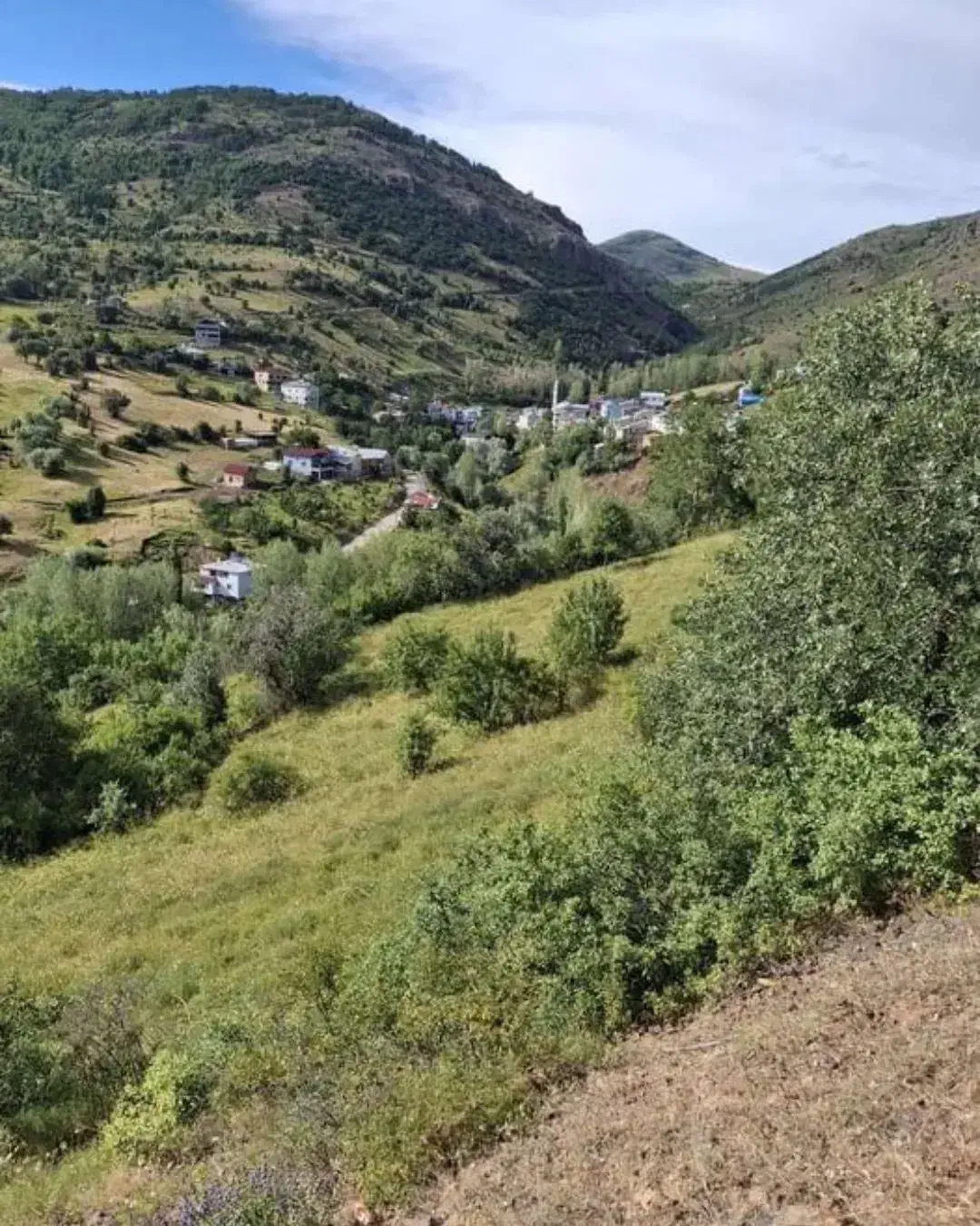 فروش زمین مسکونی