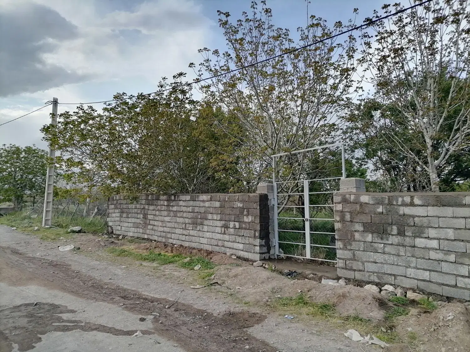 باغ فروشی رابر