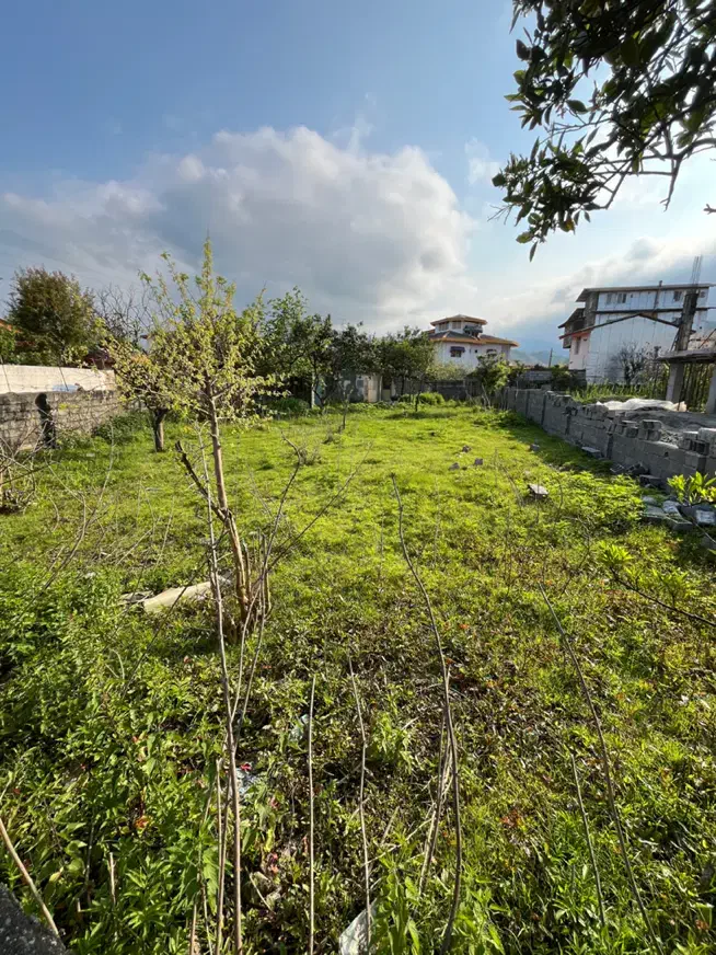 زمین مسکونی رامسر _ خوش نقشه