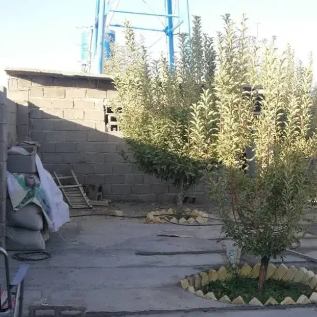 باغشهری کودیان - باغ باغشهر