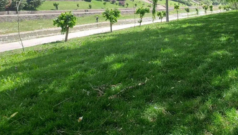 زمین بر جاده سرو کشاورزی و تجاری