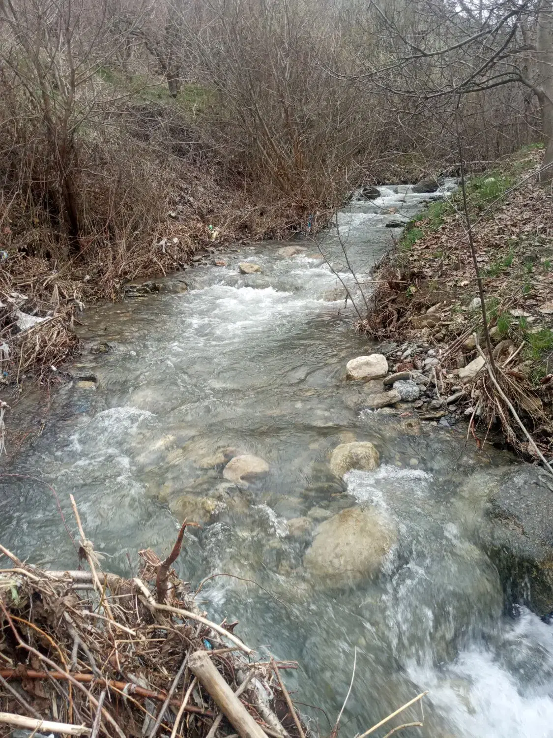 خانه باغ 7200 متری