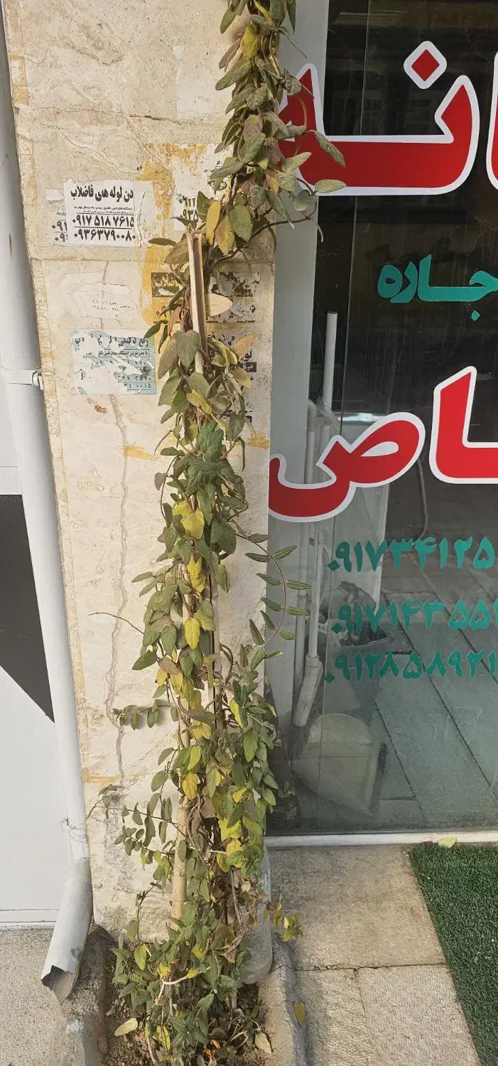 135متر 3خوابه هجرت