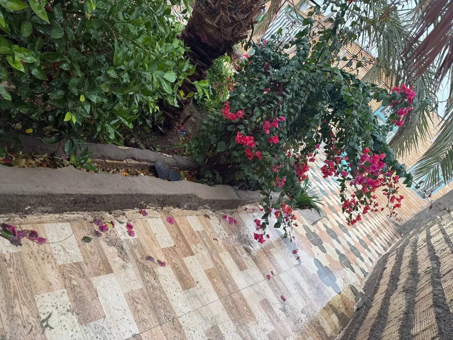 باغ ویلا تجاری مسکونی نرماشیر