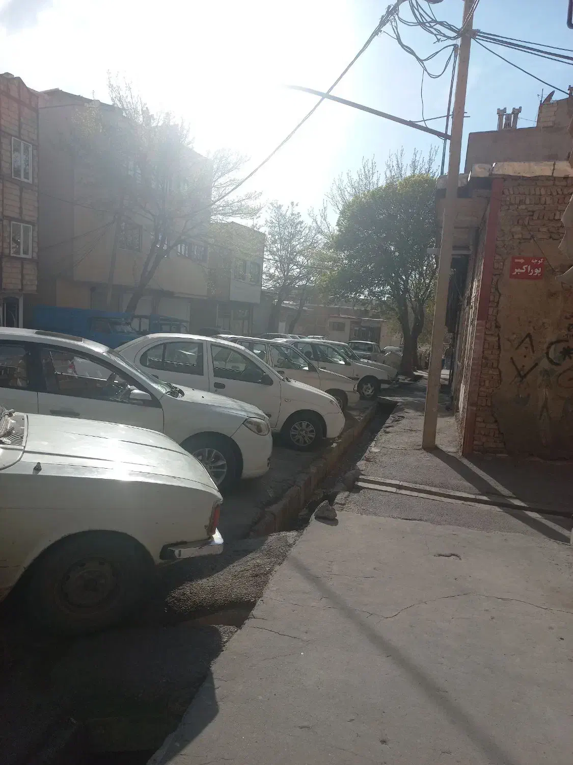 مغازه در پاسداران