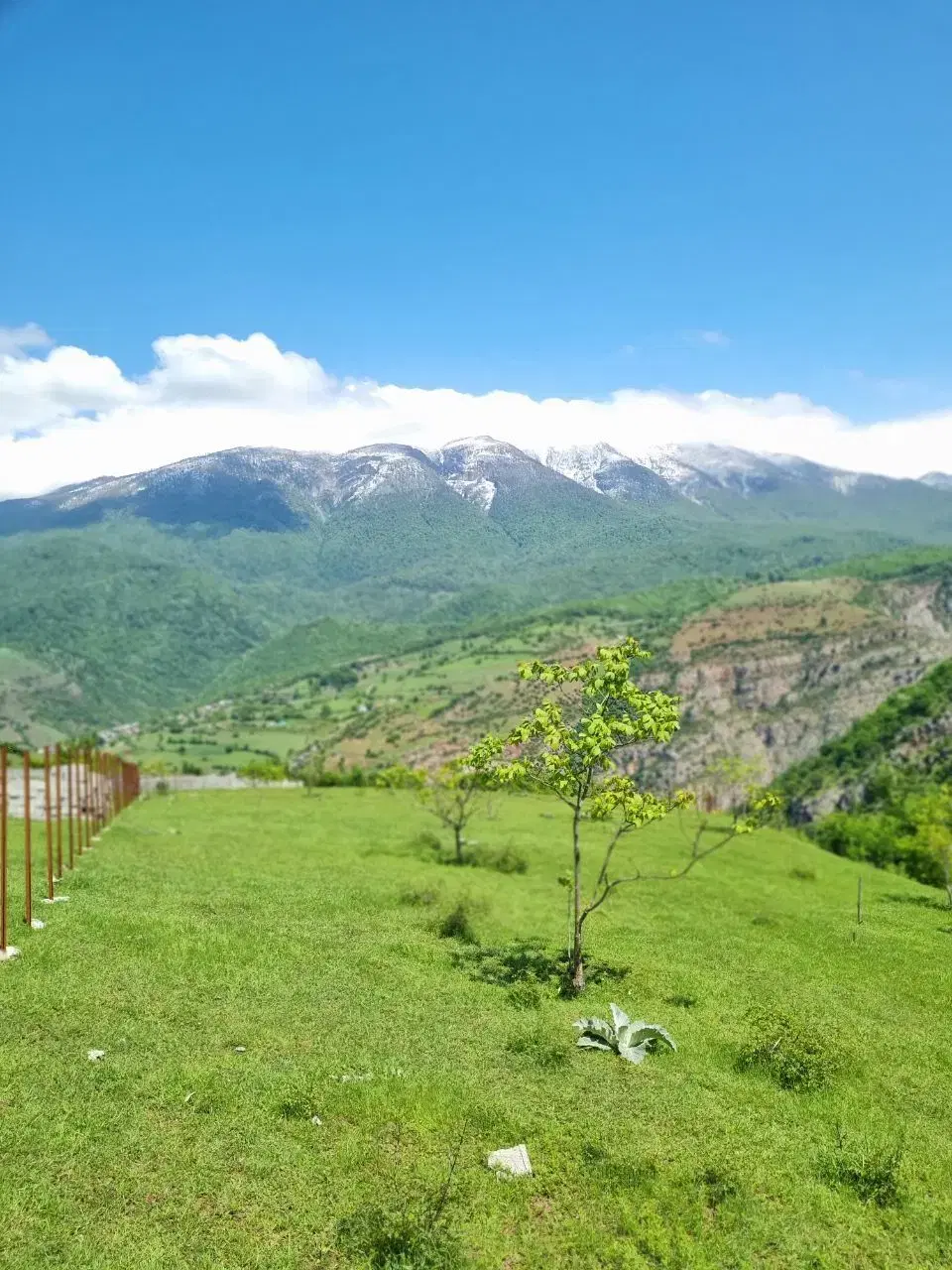 زمین مسکونی در بام گیلان(سندتک‌برگ)