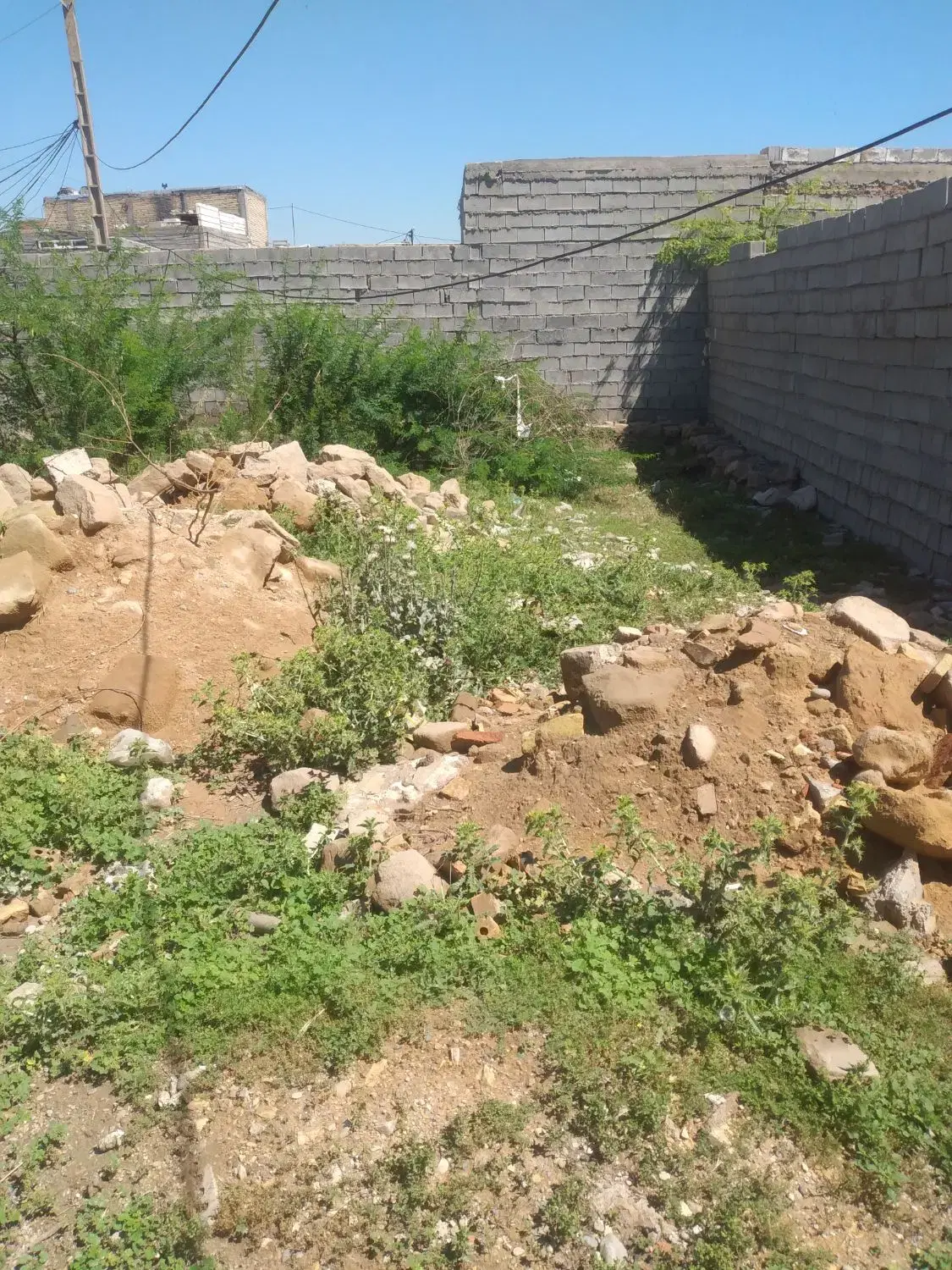 زمین قولنامه اای ساحلی