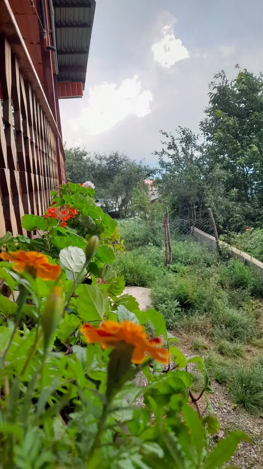 خانه ویلا کوهستانی عمو نبی