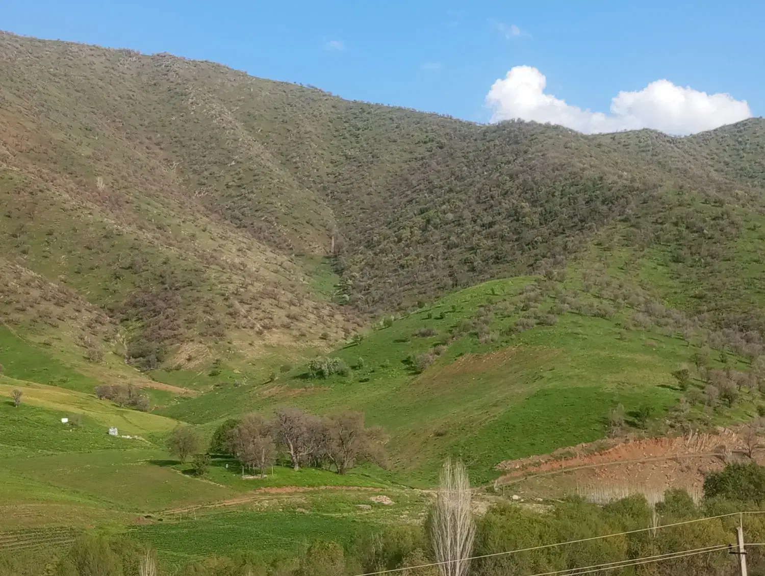 زمین کشاورزی