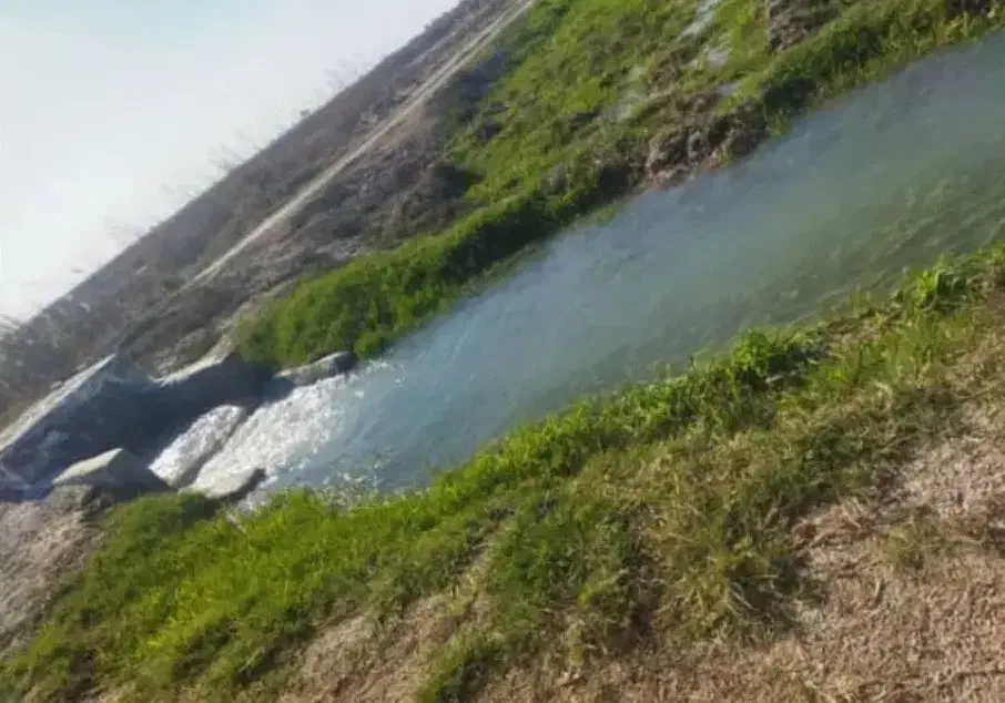 1000متر زمین باغی
