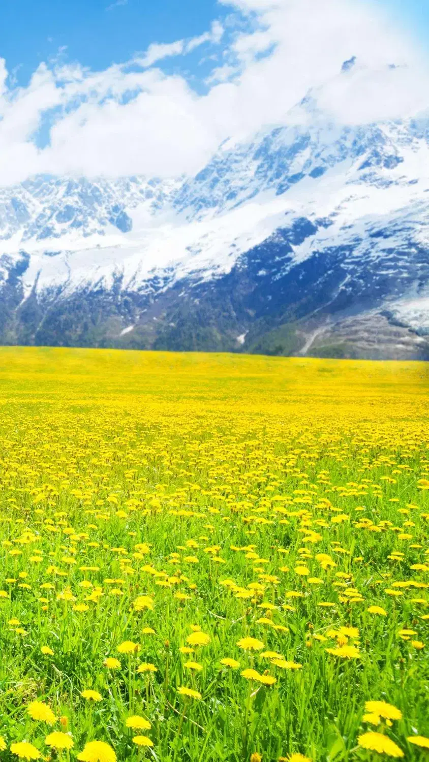 فروش زمین مسکونی کرج ، متراژ 5323 متر ، سند تک برگ