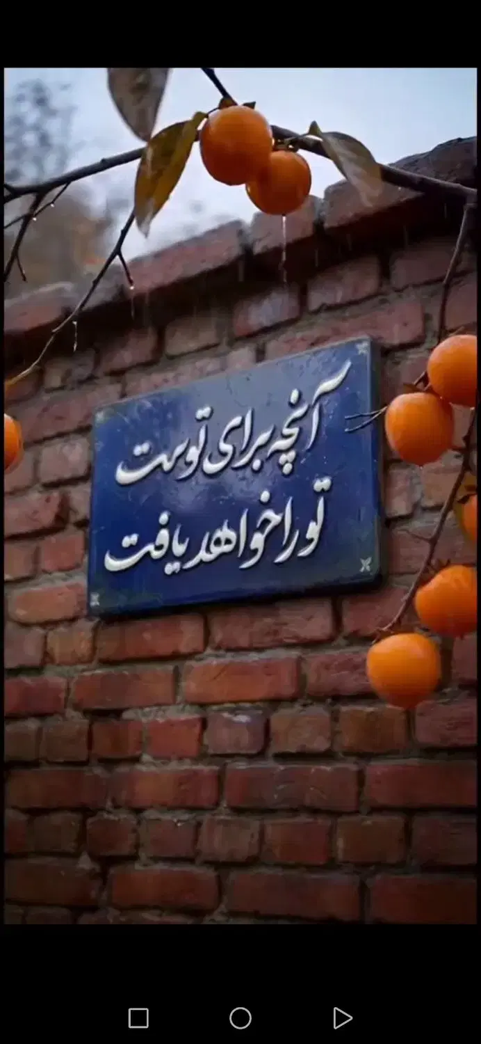 اجاره دو دهنه دکان جهت انباری