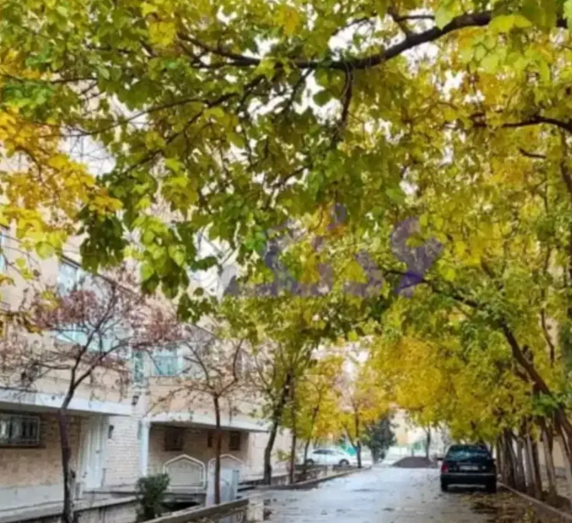 ویلایی دو کله دوبلکس فلکه برازنده