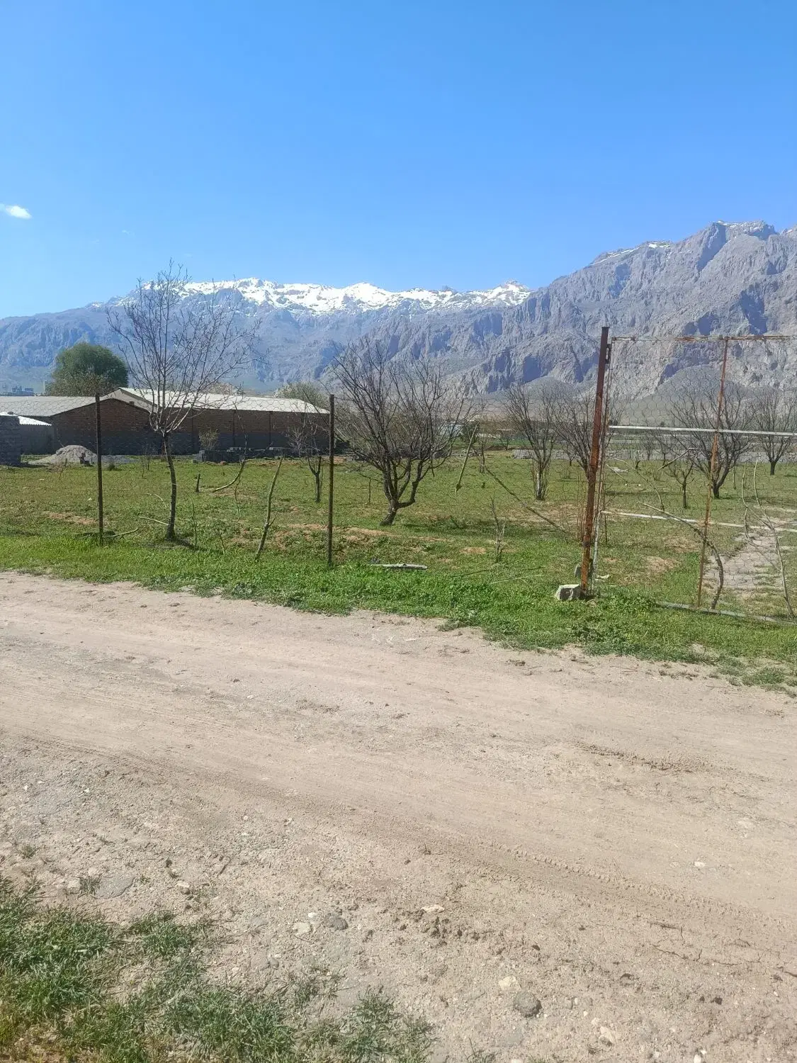 زمین (باغ) سرارود