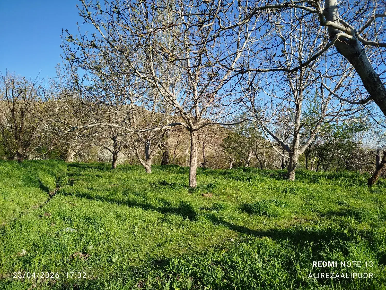 * ۴۹۰ متر باغ گردو خوشگل و با صفا سند قطعی *