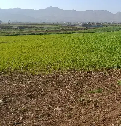 ۱۰۰۰متر زمین.جنب طرح هادی