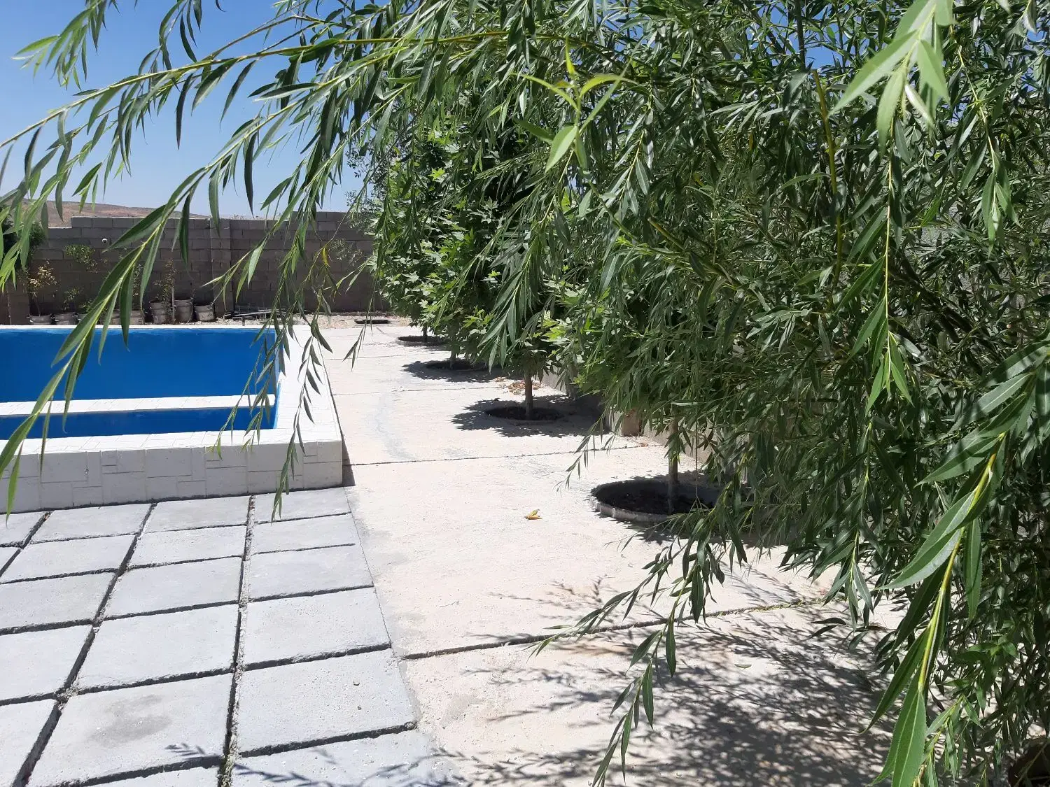 باغشهری نزدیک شیراز