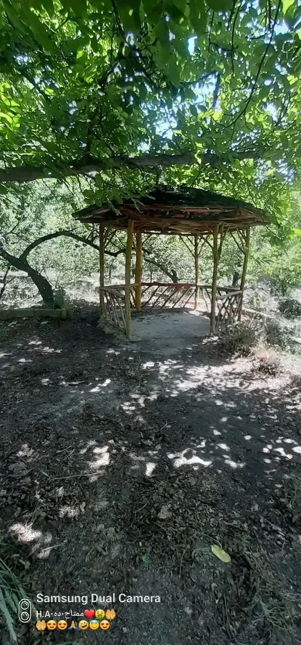 باغچه ۳۵۰۰ متر سند تک برگ ثمرده زیبادشت