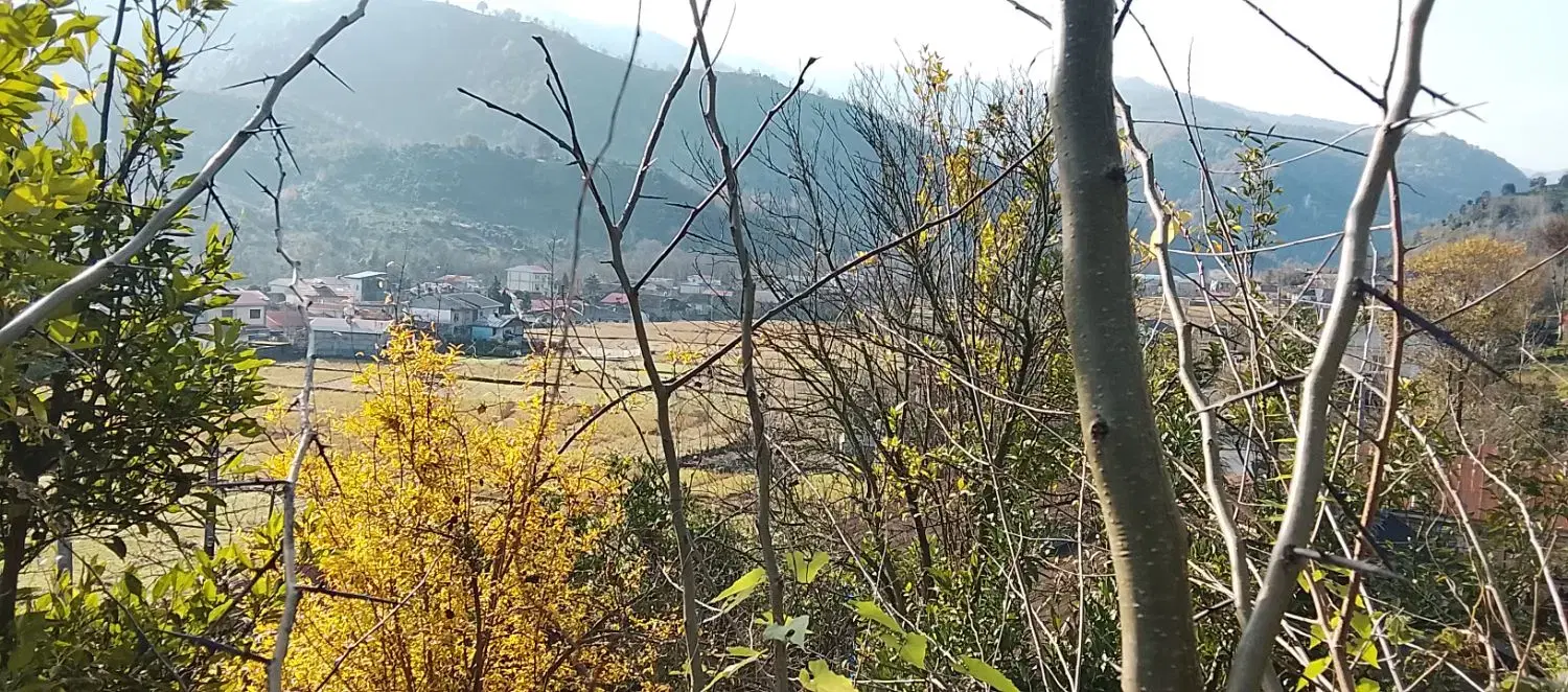 زمین مسکونی