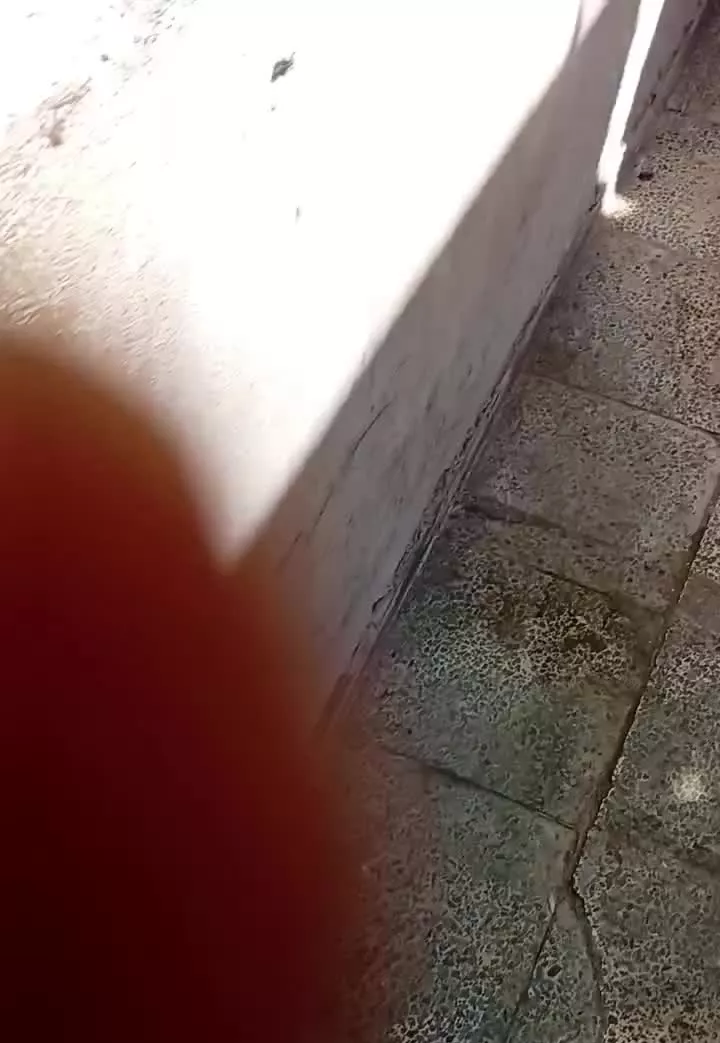 اجاره اتاق در مرکز شهر