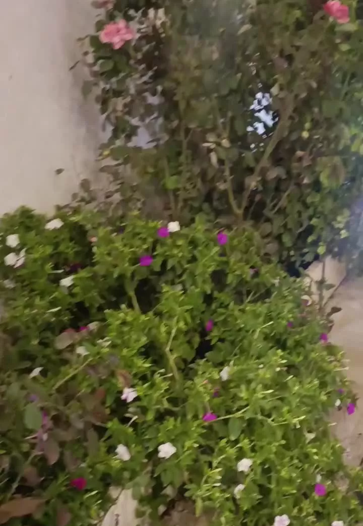 اجاره ویلا روزانه با استخر آب گرم کردان