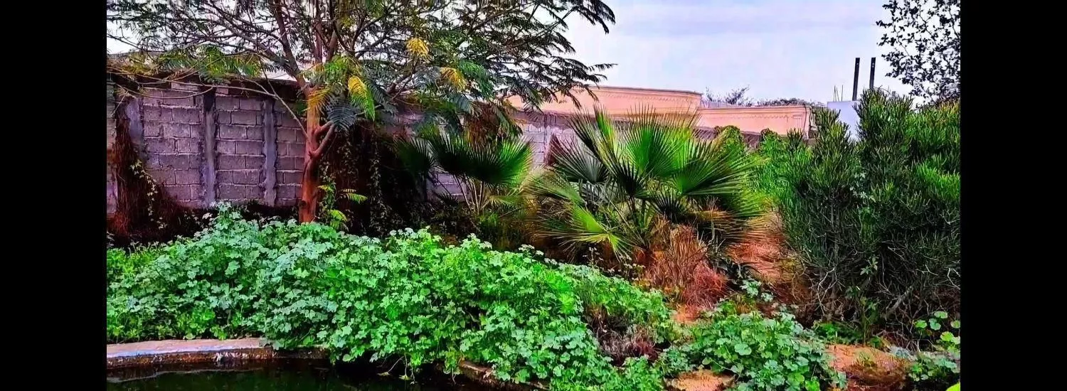 خونه باغ گورک عالیچنگی