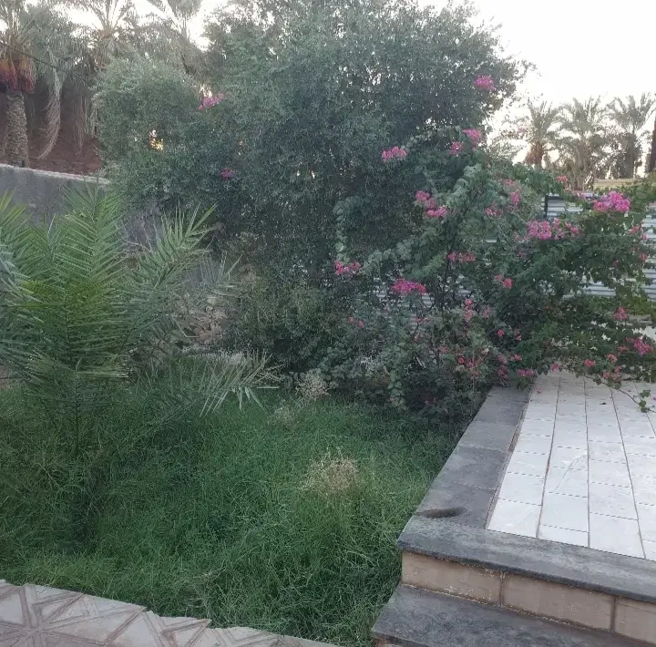 خانه ویلایی اجاره آزادی