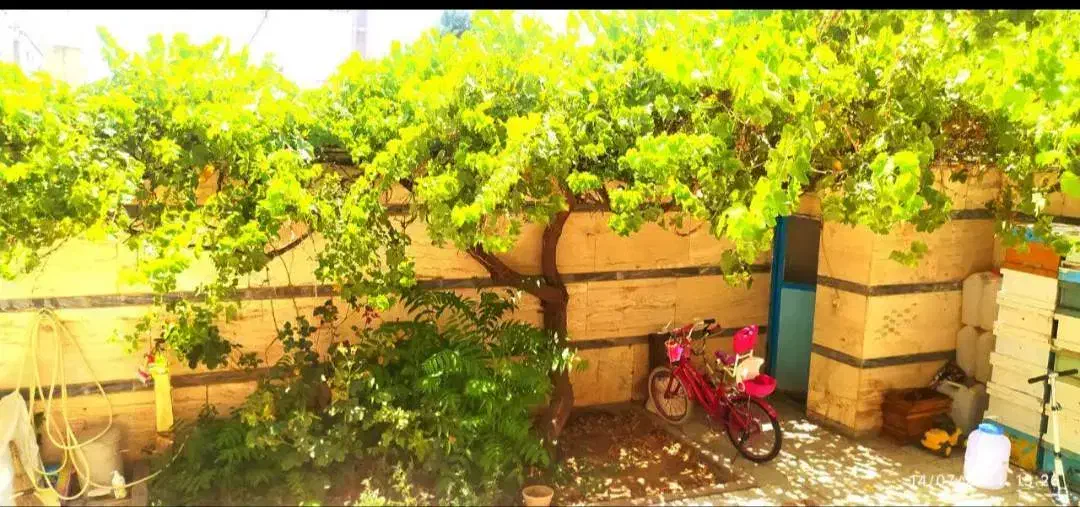 فروش خانه ویلایی در یک طبقه او نیم 205متری