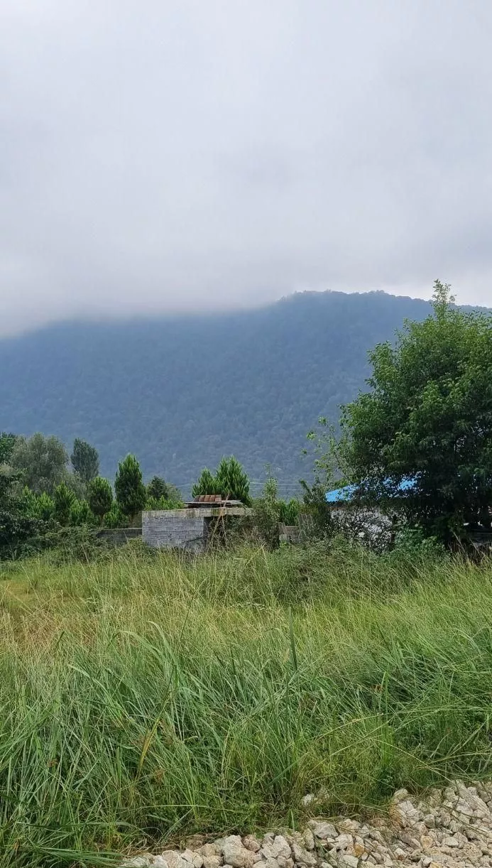 ۳۱۴ متر زمین در نوشهر