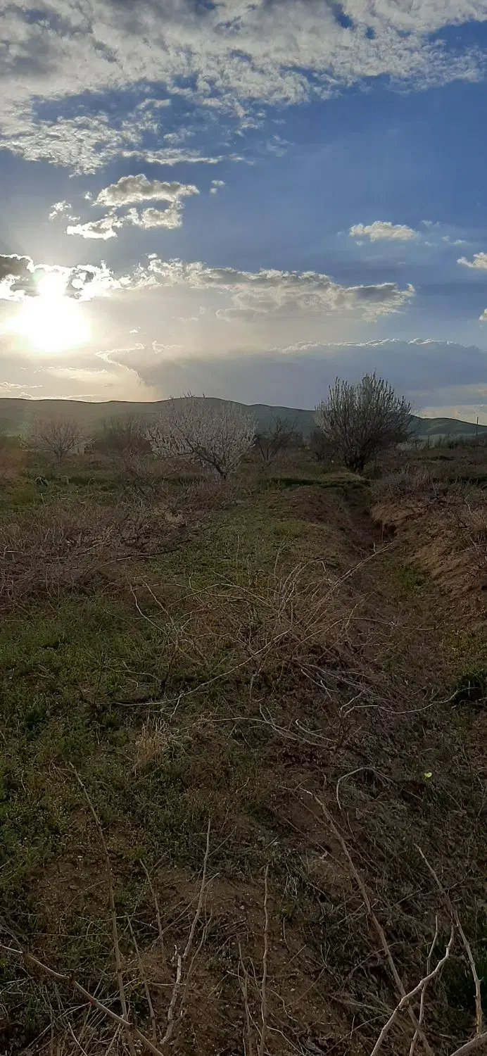 باغ نرسیده به نمازگاه